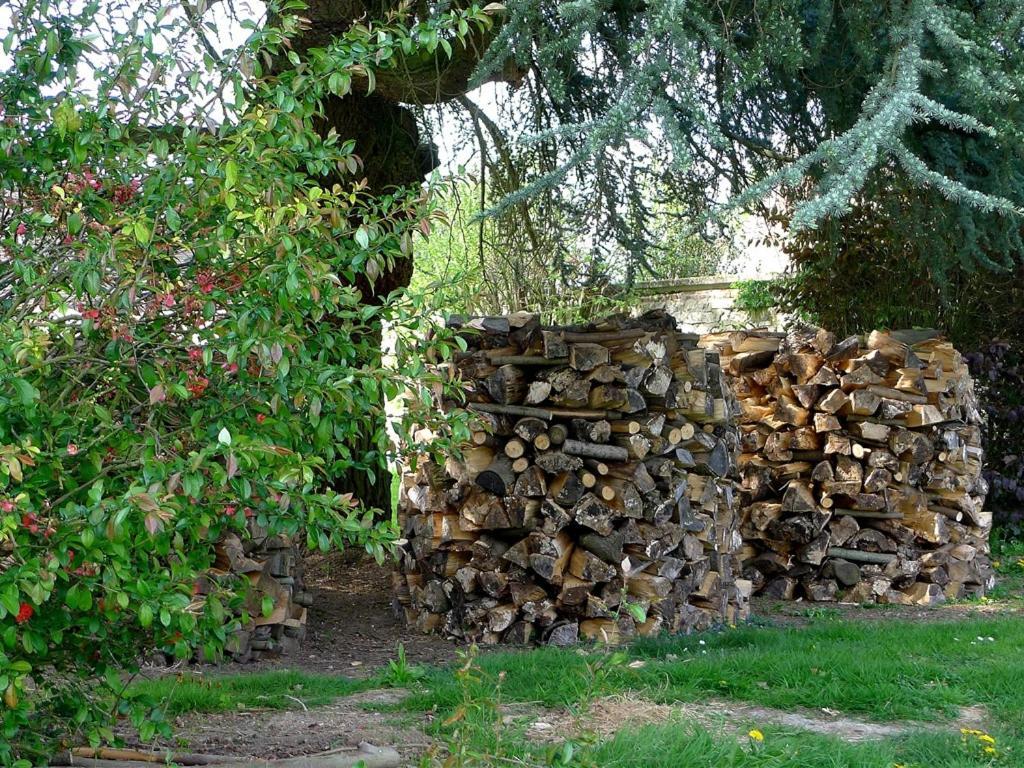 Le Sous-Bois B&B Moyenneville  Ngoại thất bức ảnh